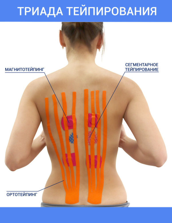Триада тейпирования для массажиста